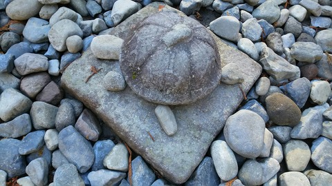 [画像:aafc18f7-s.jpg]