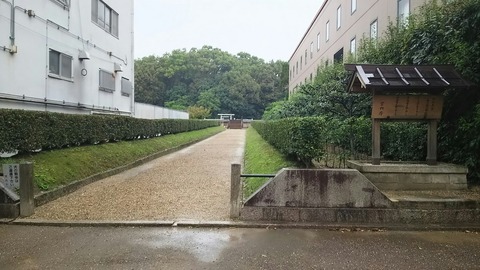 [画像:abf7c90b-s.jpg]