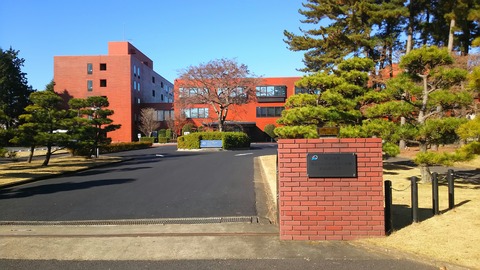 [画像:ba96bb6b-s.jpg]