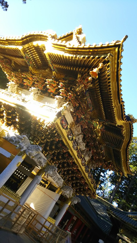 [画像:c58d7ea0-s.jpg]