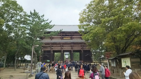 [画像:c8ad090f-s.jpg]