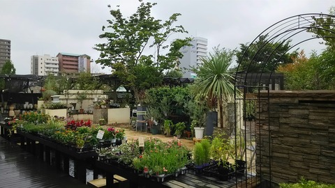 [画像:cbceec55-s.jpg]