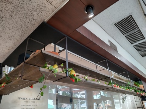 HORIZON_0001_BURST20210809170903292_COVER