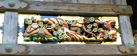 [画像:da60778a-s.jpg]