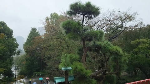 [画像:df6af5c8-s.jpg]