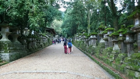 [画像:e60e8ade-s.jpg]