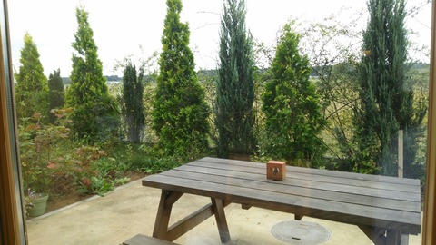 [画像:e8cac9e7-s.jpg]