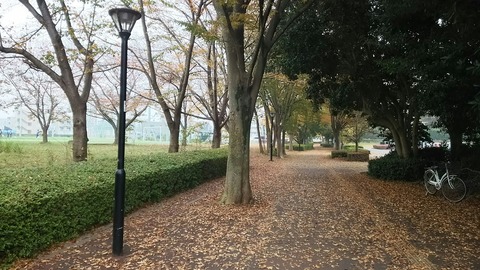 [画像:e96921a6-s.jpg]