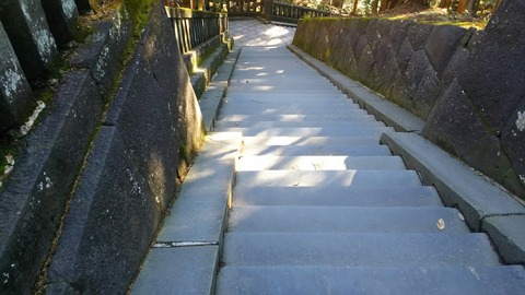 [画像:ed5edd25-s.jpg]