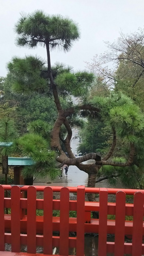 [画像:edbc610a-s.jpg]