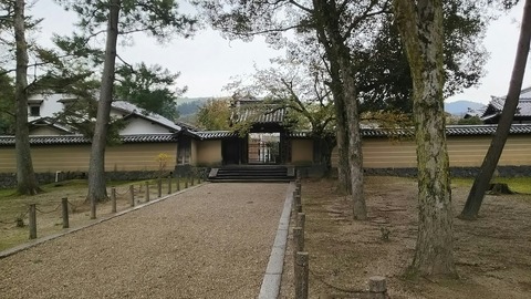 [画像:fc62de45-s.jpg]