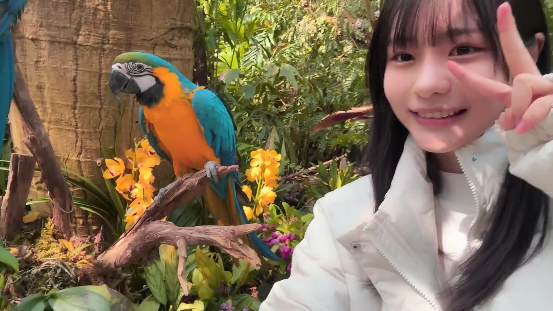 中川智尋　直筆生写真　櫻坂46 四期生 中川智尋 櫻坂46 四期生 お披露目制服生写真 直筆サイン入り