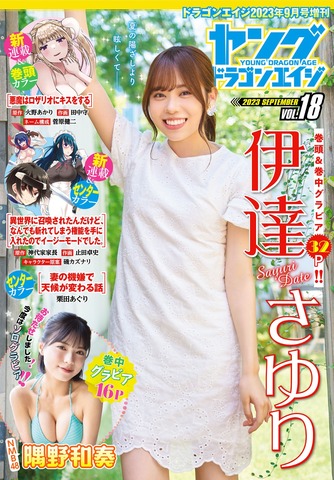 伊達さゆり ヤングドラゴンエイジ ブロマイド コンプリート タレントグッズ 