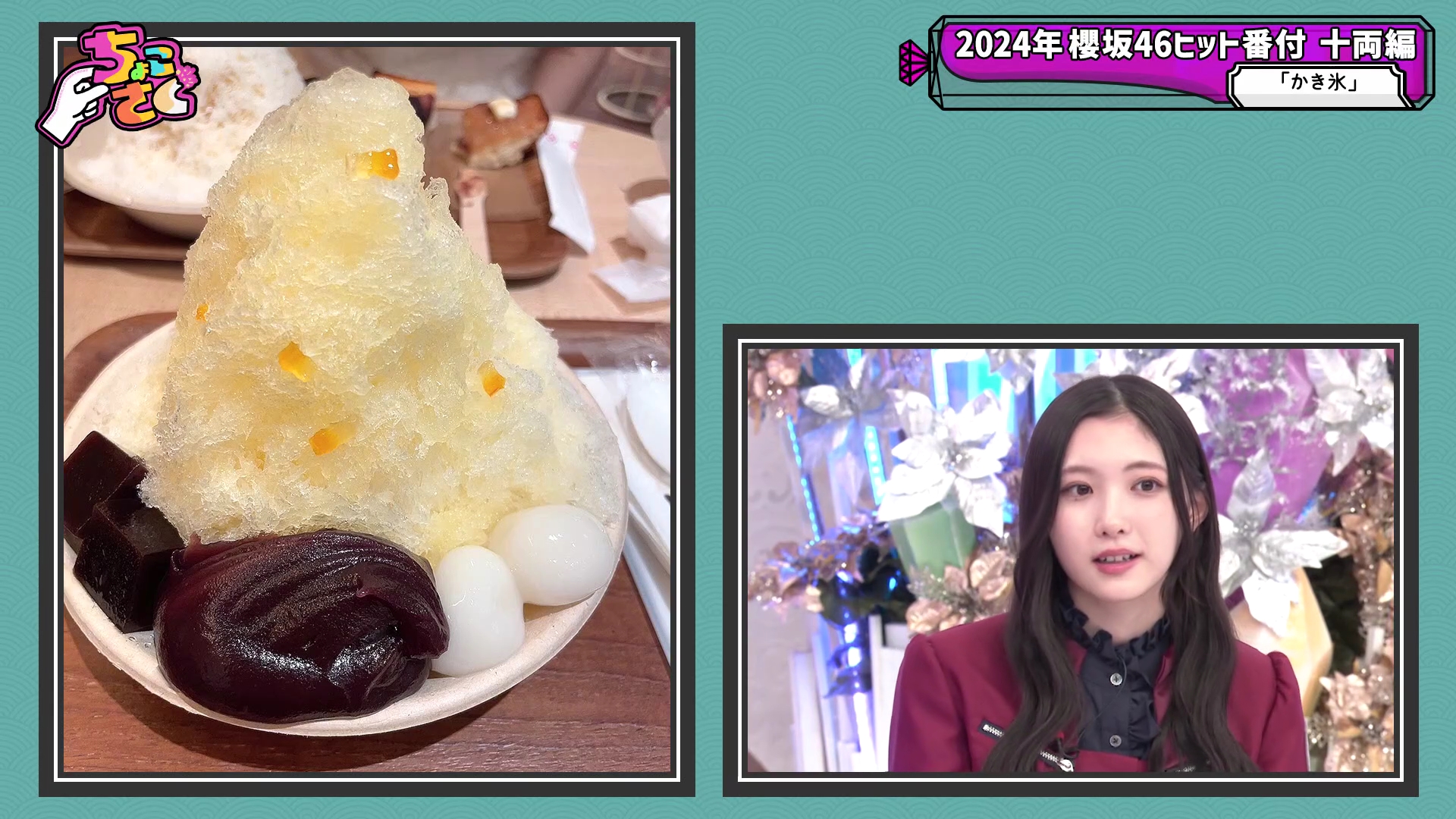 2024.12.15 櫻坂46「ちょこさく」もうすぐ幕内!2024年櫻坂46ヒット番付