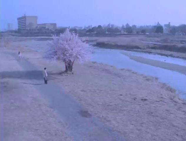 ケツメイシ さくら Pv撮影場所 Fumi Diary 2号店