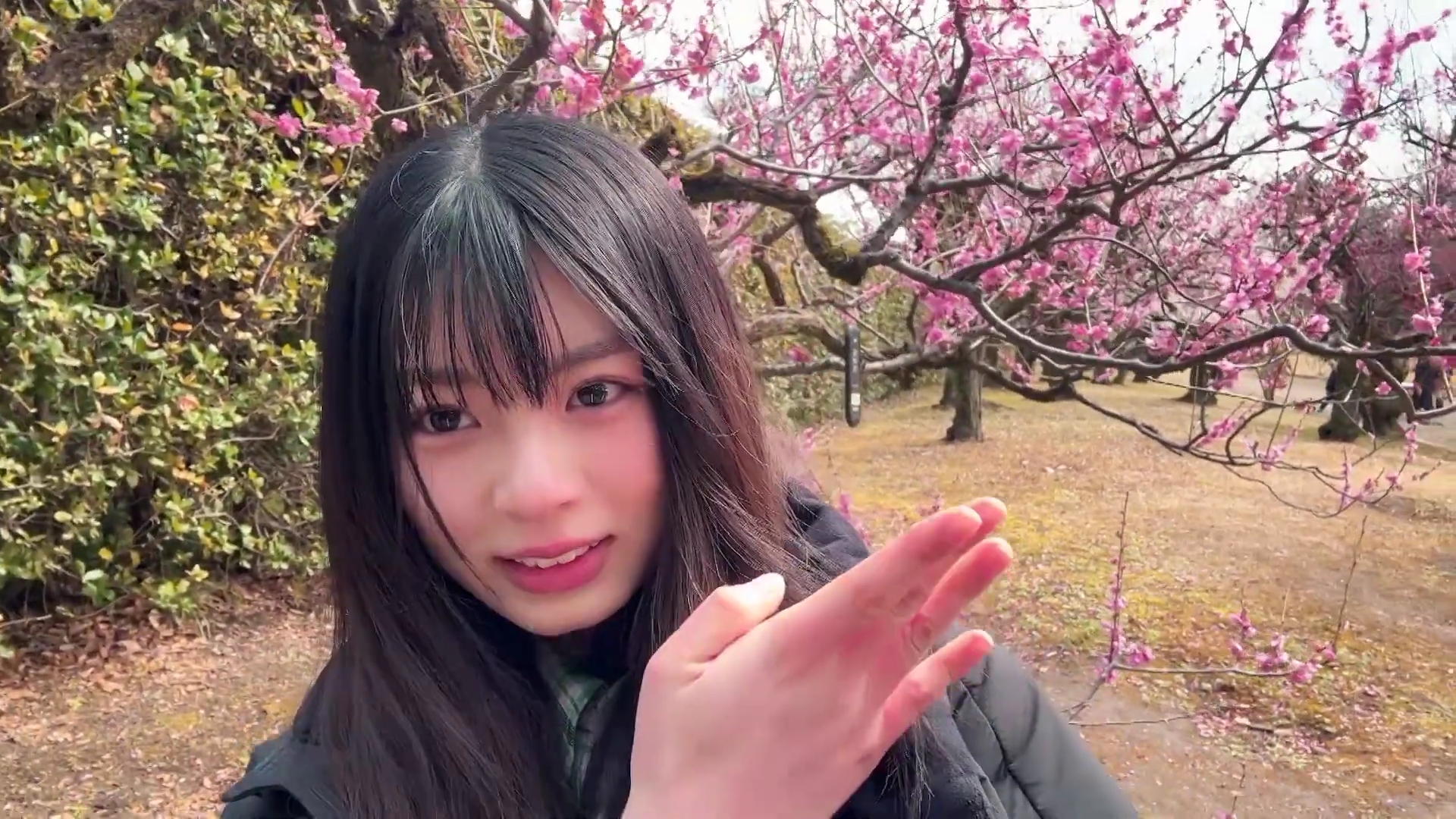 櫻坂46 稲熊ひな 四期生Vlog撮影場所 : fumi Diary 2号店: ロケ地ノート