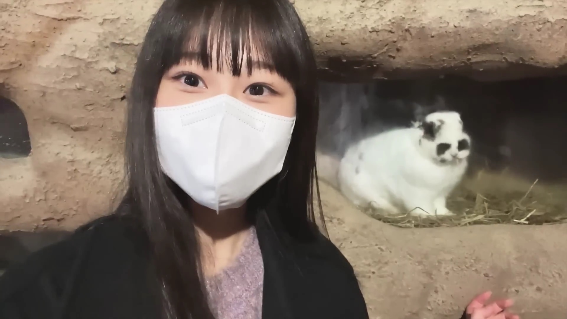 櫻坂46 向井純葉 三期生Vlog撮影場所 : fumi Diary 2号店: ロケ