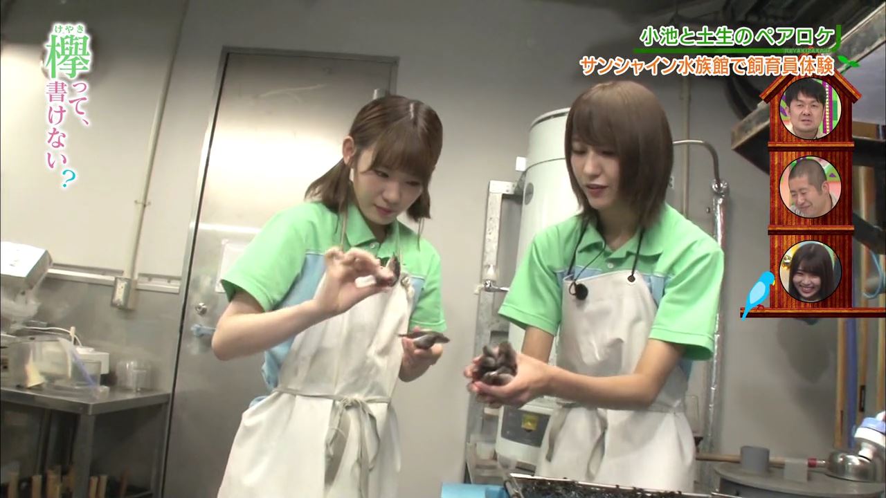 欅坂46「欅って、書けない?」小池・土生のペアロケ : fumi Diary 2号店