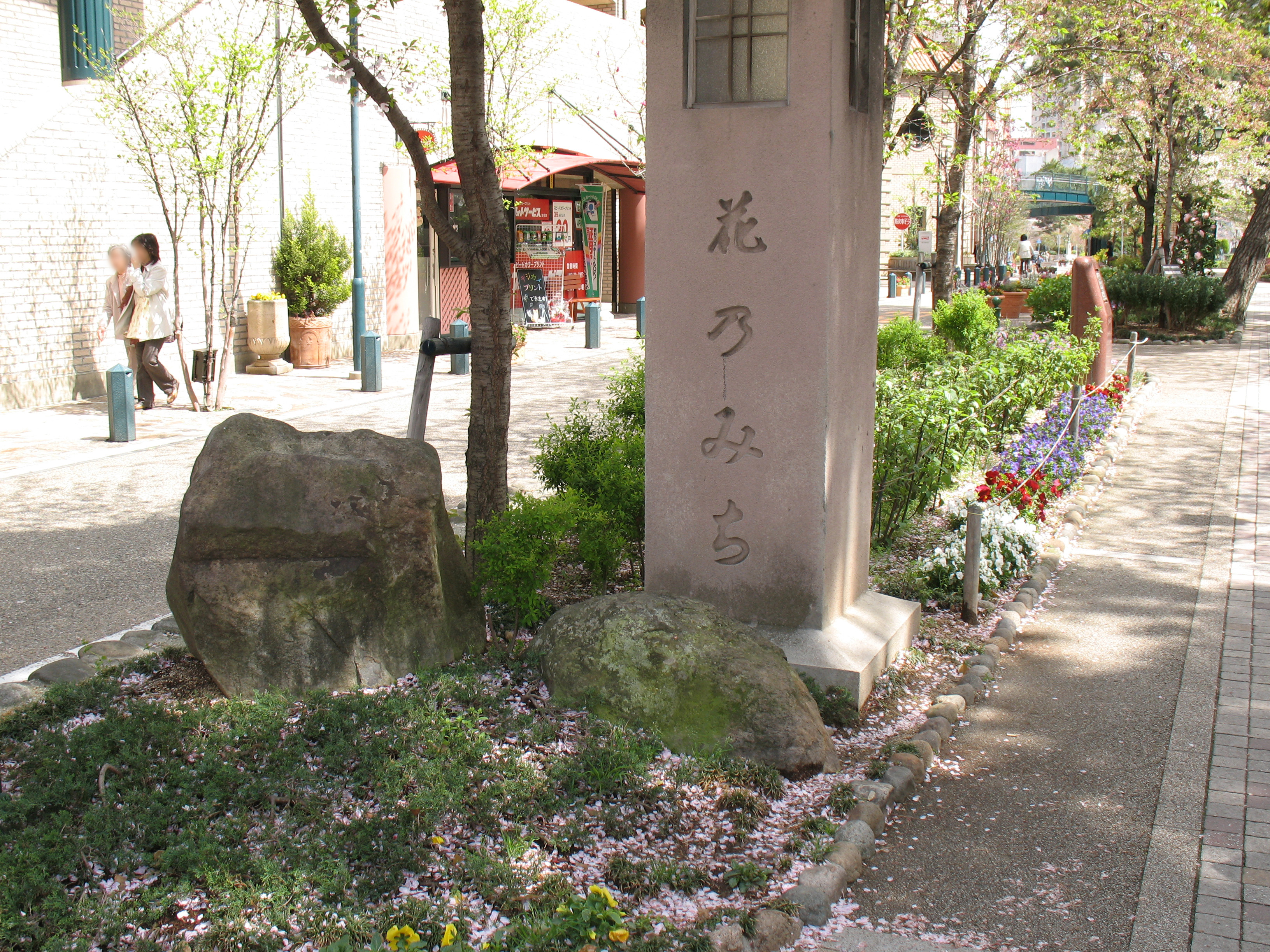 2024.09.25 櫻坂46 遠藤光莉 #165. 私のスキたち🦋 blog写真撮影