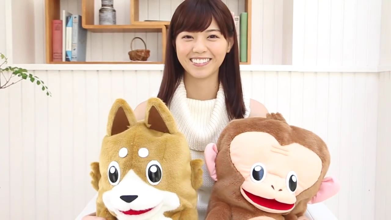 どいやさん　BIGぬいぐるみ ２体セット　乃木坂　西野七瀬 どいやさんぬいぐるみ 2種類セット元乃木坂46西野七瀬 - メルカリ