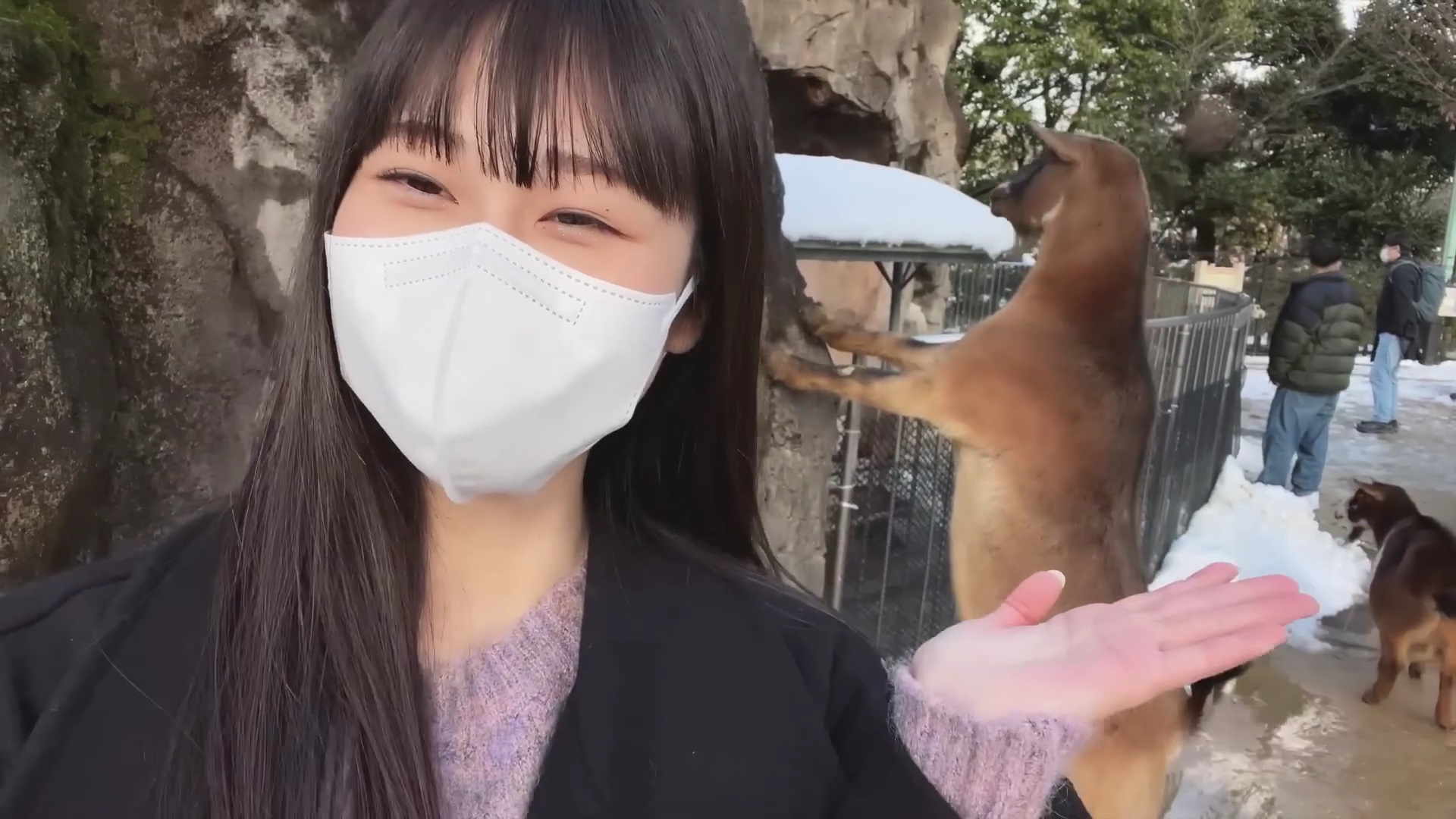 櫻坂46 向井純葉 三期生Vlog撮影場所 : fumi Diary 2号店: ロケ