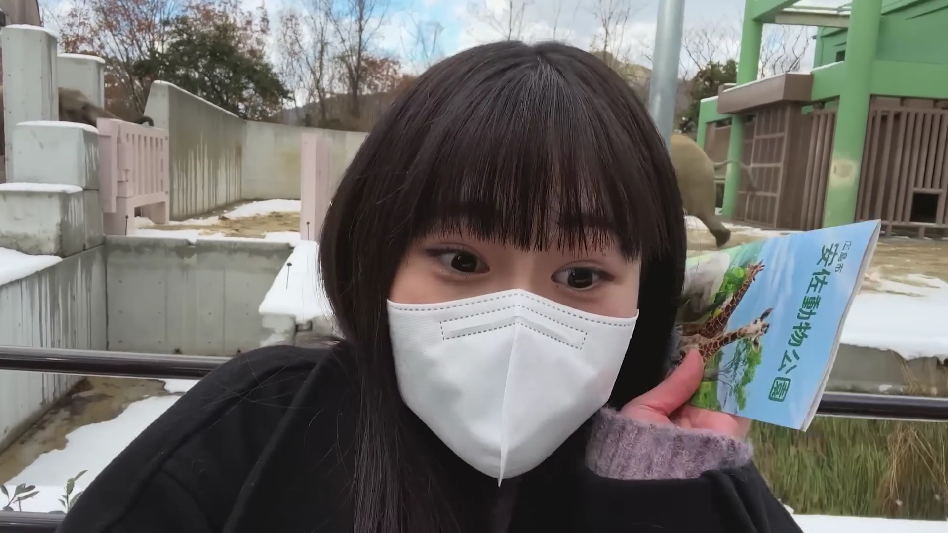 櫻坂46 向井純葉 三期生Vlog撮影場所 : fumi Diary 2号店: ロケ