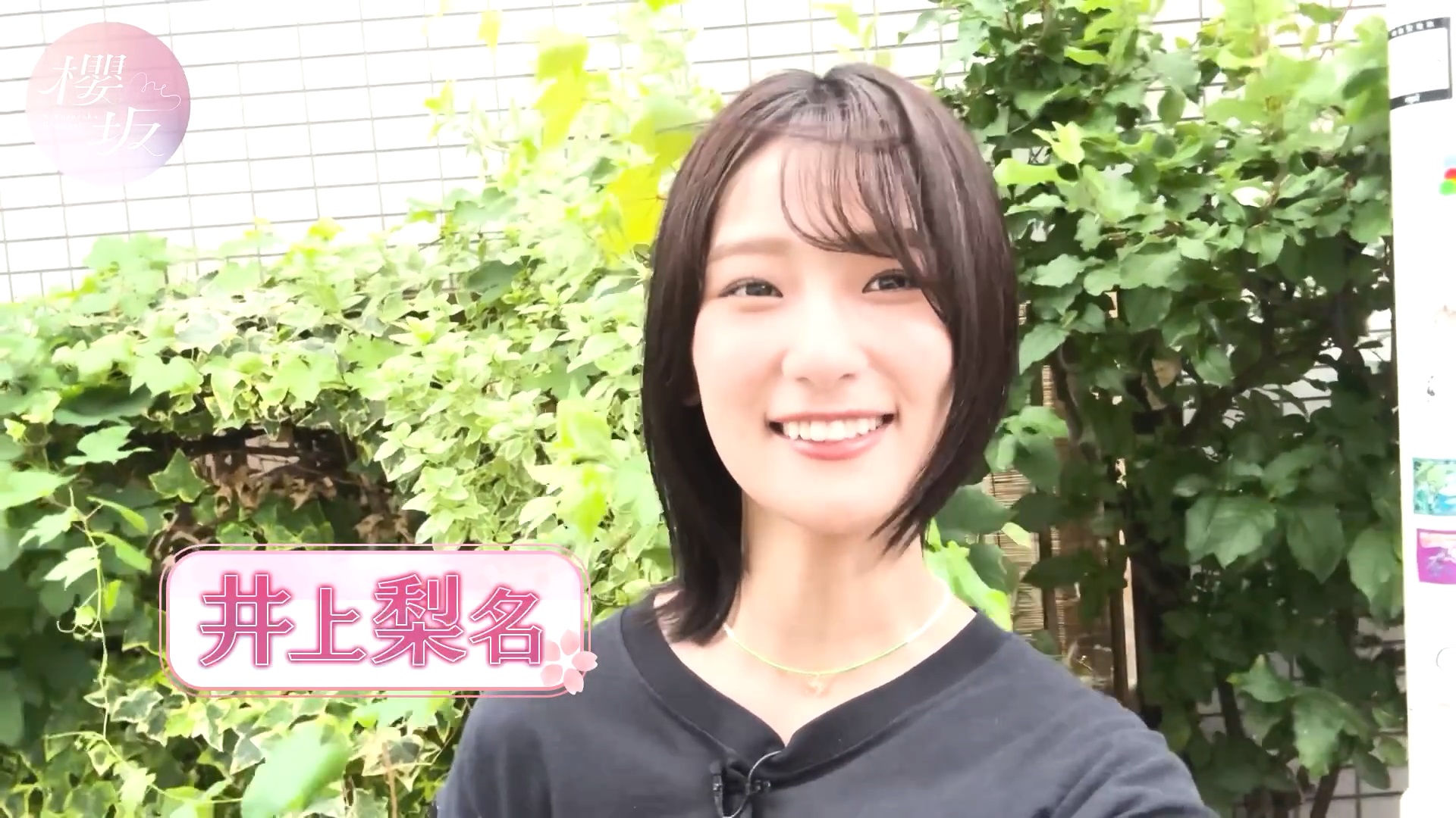 坂道　井上梨名　テリトリー　プロモセット 2024.08.01 櫻坂46 井上梨名 ひとり焼き鳥に挑戦! : fumi Diary 2号店
