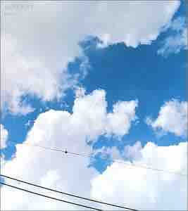 サニーデイ・サービス 「Best Sky」 : 今日はこんな感じ