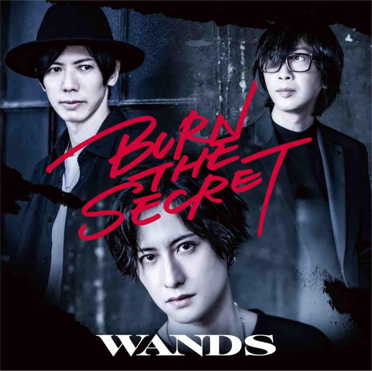 WANDS 「BURN THE SECRET」 : 今日はこんな感じ
