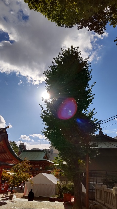1637299634187