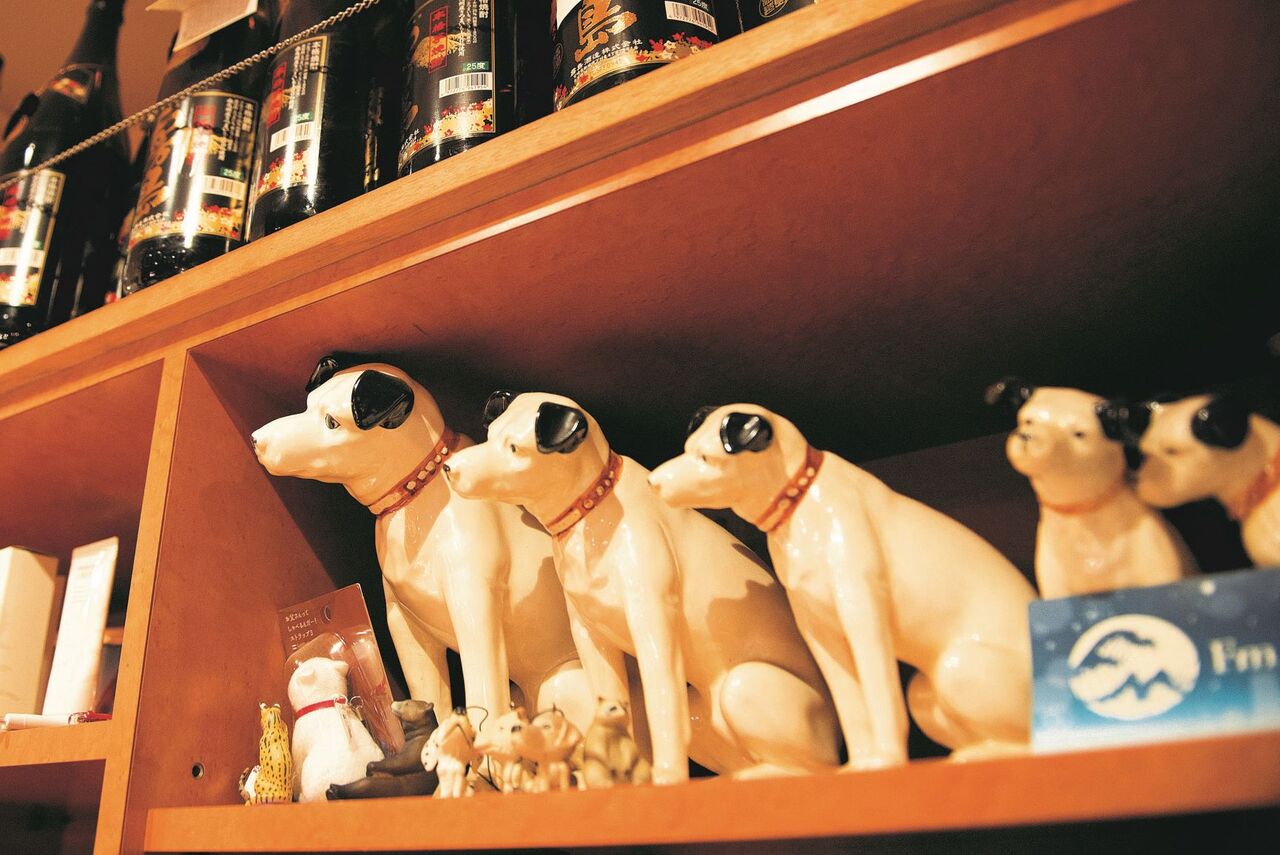 新子安 VHSが生まれ映画にもなった16時開店「大衆割烹酒蔵 きしや