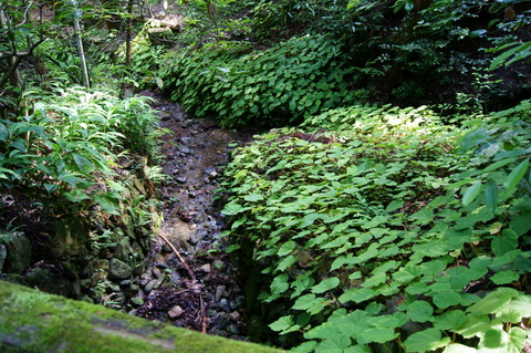 DSC05359