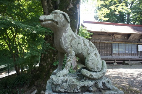 DSC01149