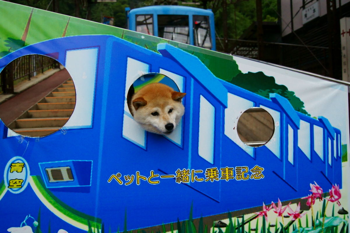 武蔵御嶽神社 １ こまち 初ケーブルカー こまちの通り道 オオカミ像を求めて