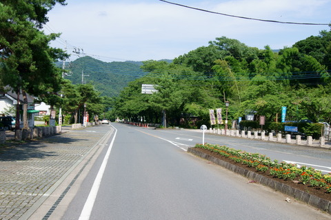 DSC05373