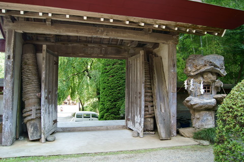DSC05362