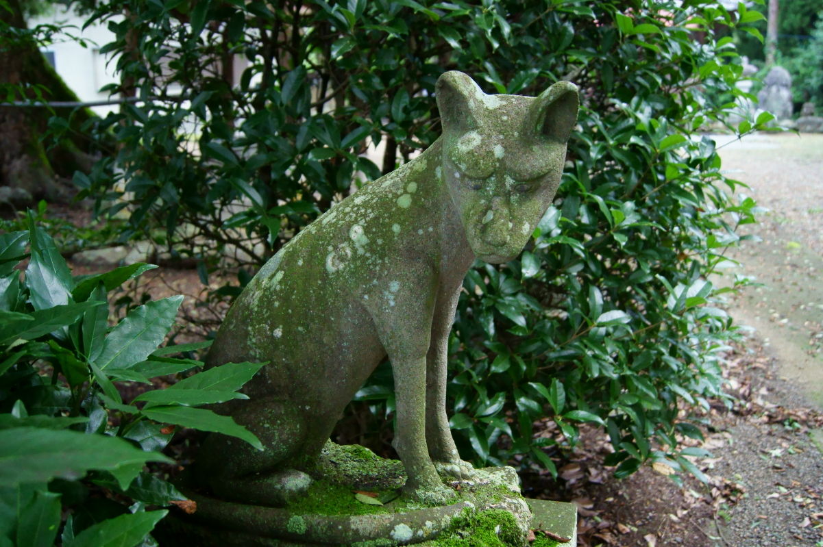 狼像について 長文 こまちの通り道 オオカミ像を求めて 狼像について 長文 こまちの通り道 オオカミ像を求めて