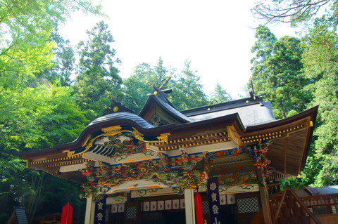DSC05371