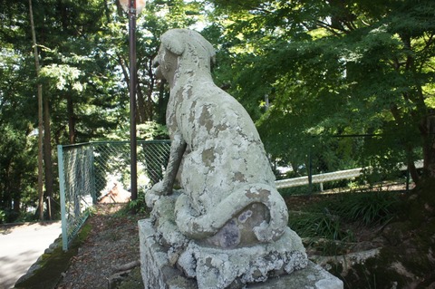 DSC01150