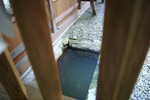 DSC05354