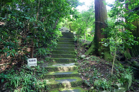 DSC05360