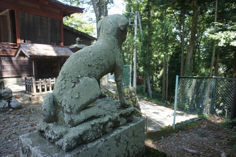 DSC01151