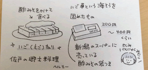 旅日記 新潟 新潟市 長岡市 に行ってきました 子供と動物のイラスト屋さん イラストレーターわたなべふみ のブログ