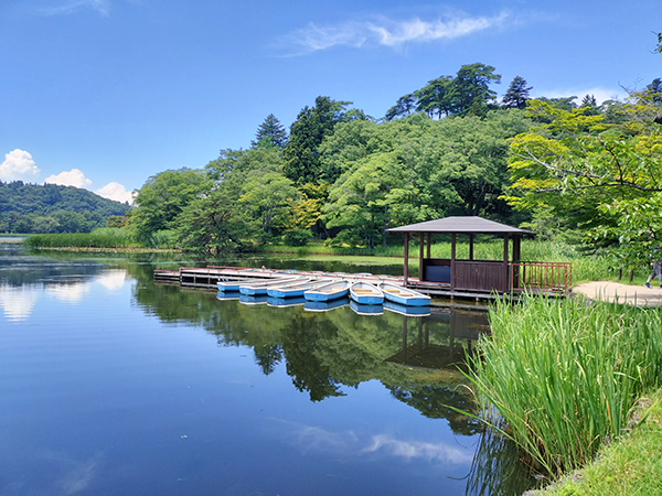 南湖公園写真
