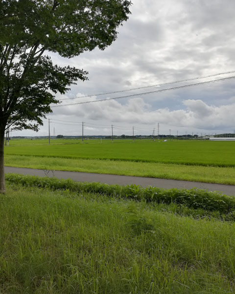 image10