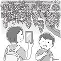 fuji_m_s