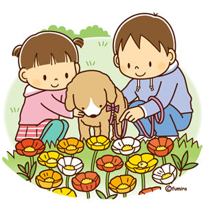 kodomo_dog_soft