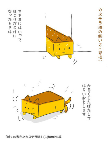 カステラ猫64
