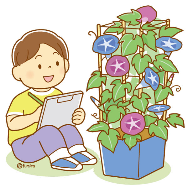 【クリップアート】あさがおの観察をする男の子のイラスト : 子供と動物のイラスト屋さん(イラストレーターわたなべふみ)のブログ