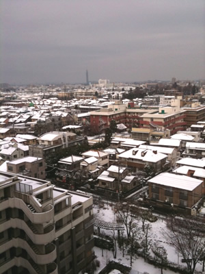 雪の東京
